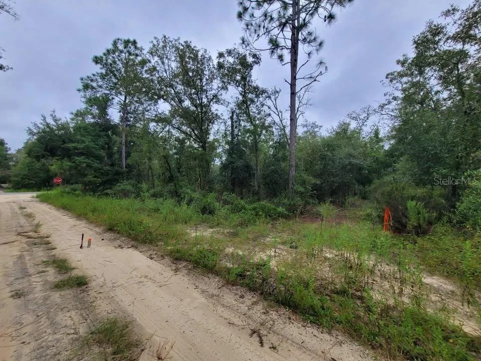 TBD NE 120th Street Bronson FL 32621 GC538606 image4