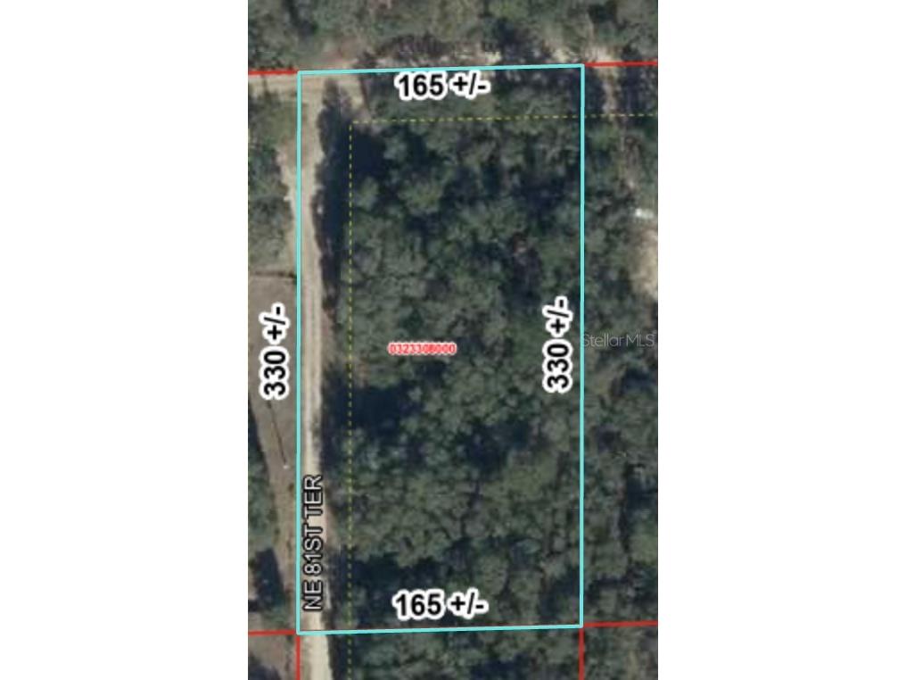 TBD NE 120th Street Bronson FL 32621 GC538606 image7