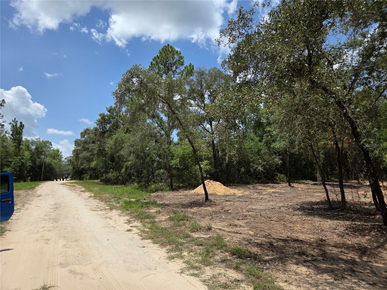 TBD NE 122nd Avenue Williston FL 32696 OM728220 image12
