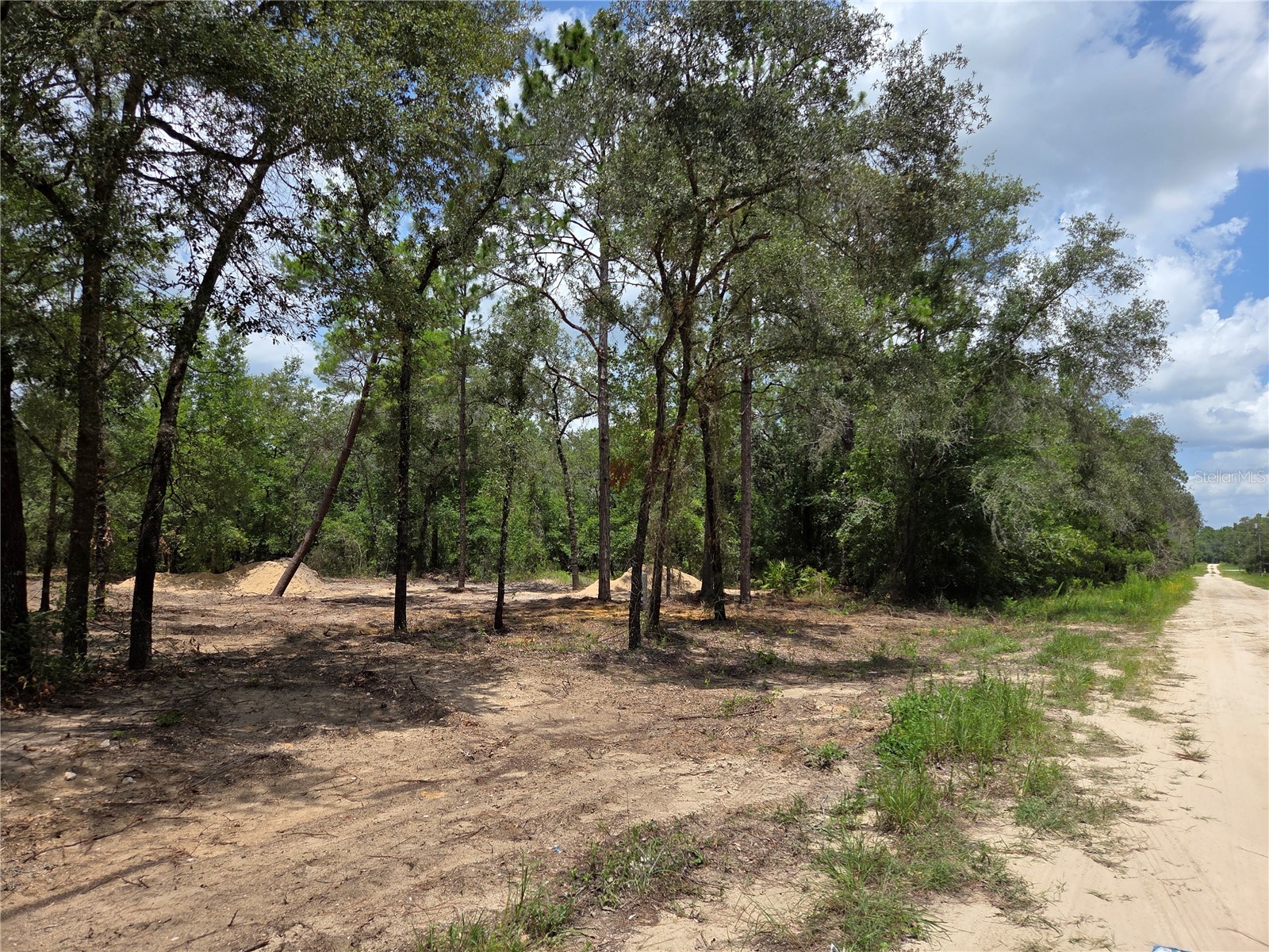 TBD NE 122nd Avenue Williston FL 32696 OM728220 image13
