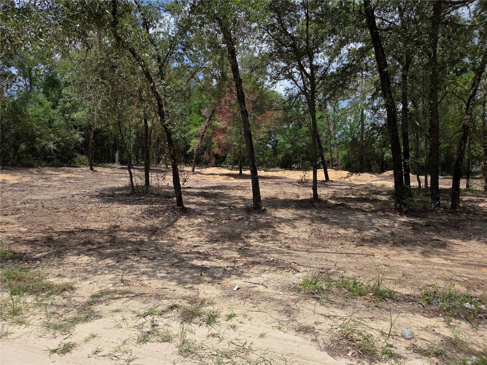 TBD NE 122nd Avenue Williston FL 32696 OM728220 image16