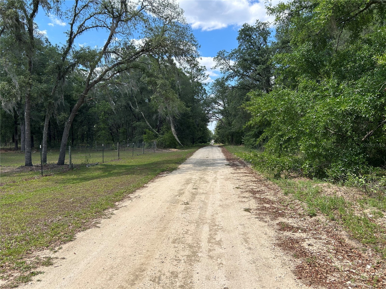 TBD NE 123rd Avenue Williston FL 32696 OM724746 image4