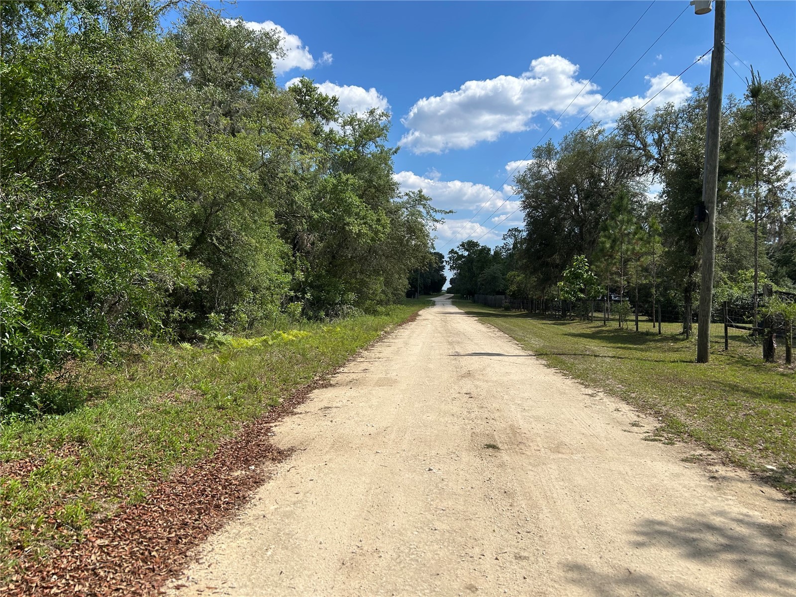 TBD NE 123rd Avenue Williston FL 32696 OM724746 image5
