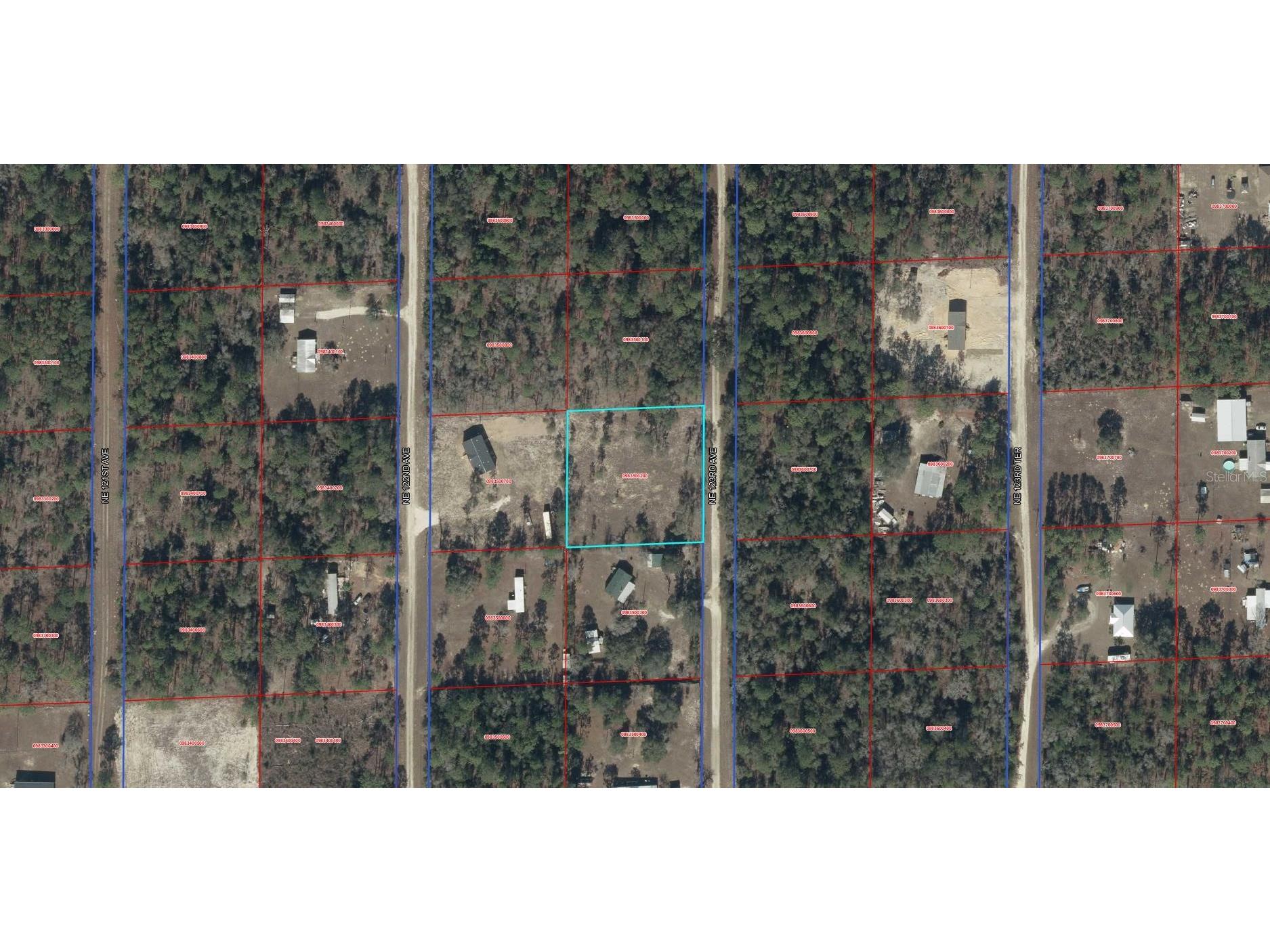TBD NE 123rd Avenue Williston FL 32696 OM724746 image6