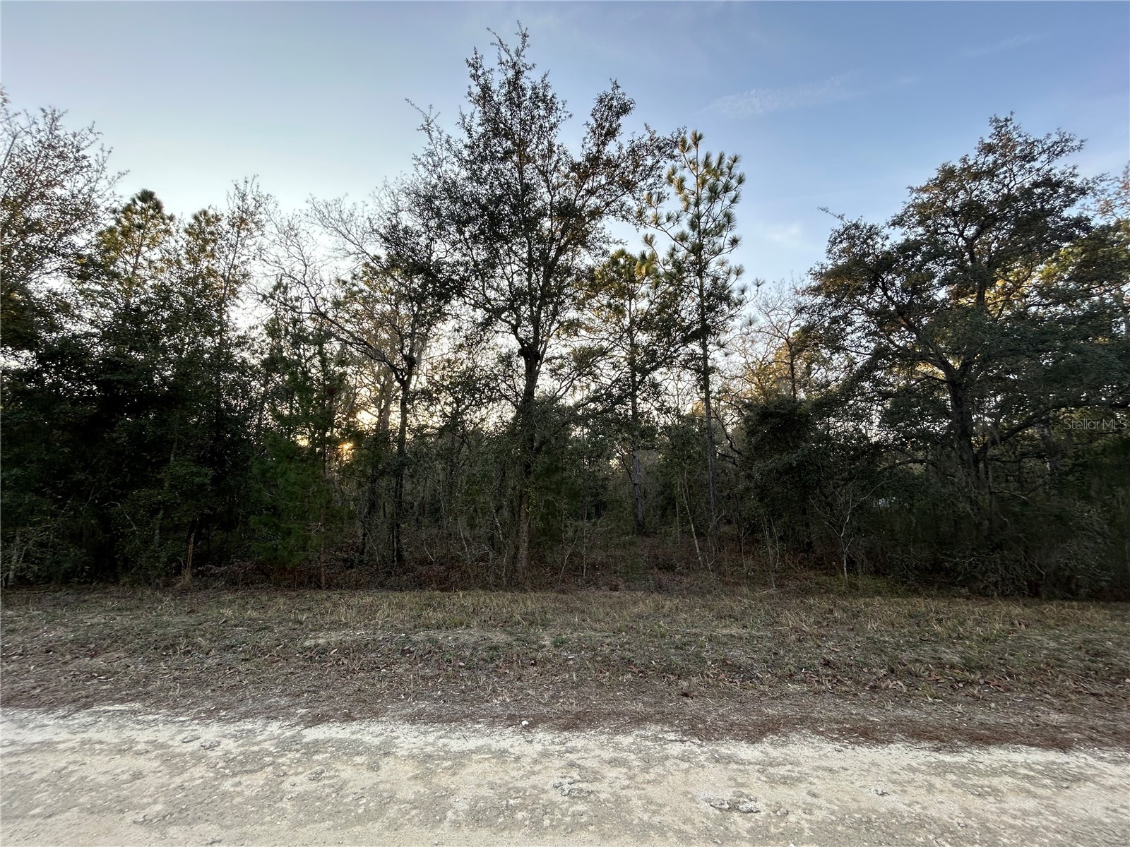 TBD NE 123rd Terrace Williston FL 32696 OM715603 image1