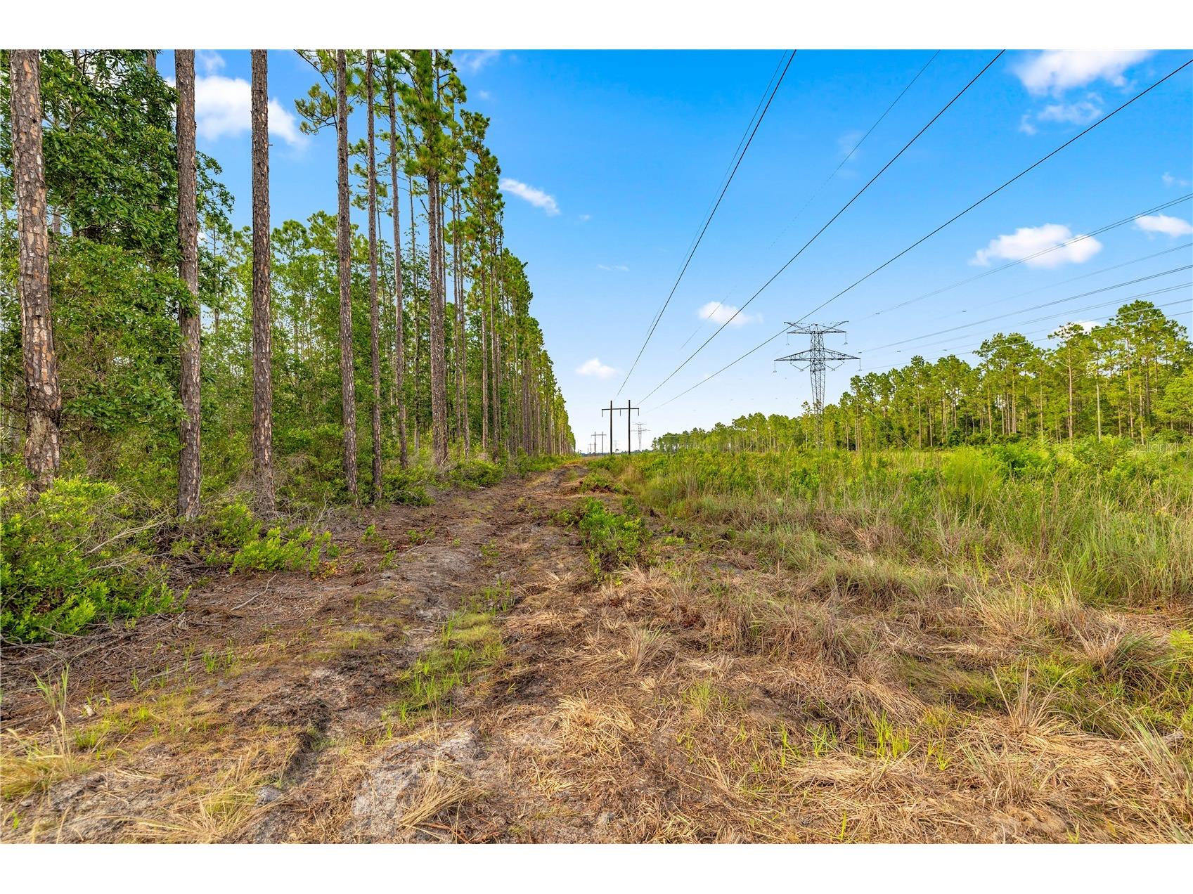 TBD NE 125th Ave Fort Mc Coy FL 32134 OM707490 image1