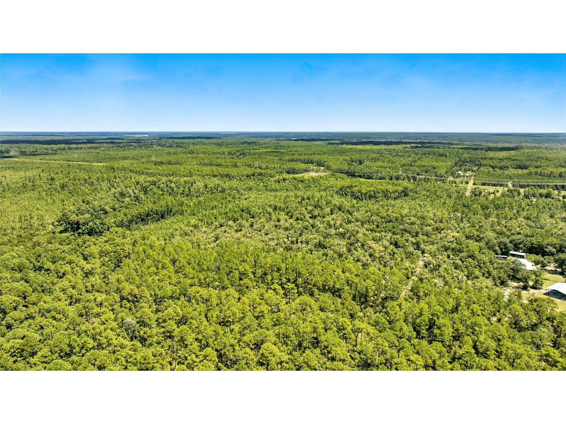 TBD NE 125th Ave Fort Mc Coy FL 32134 OM707493 image1