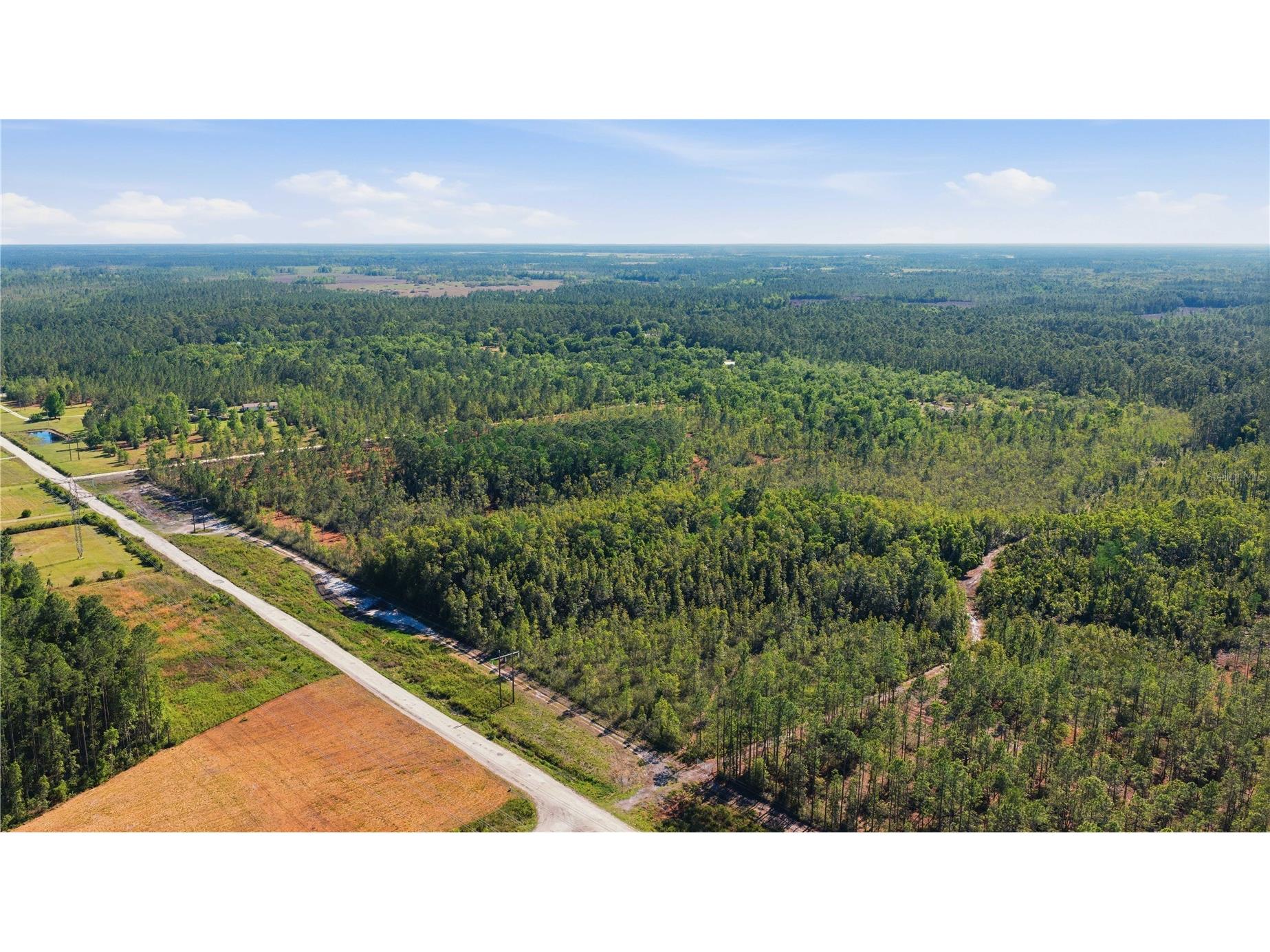 TBD NE 125th Avenue Fort Mc Coy FL 32134 OM723352 image1