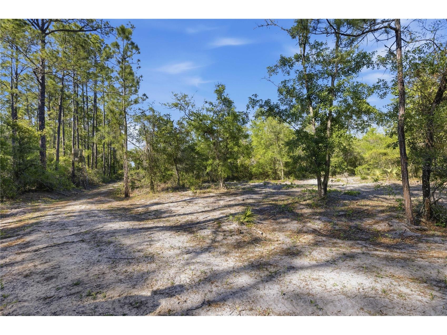 TBD NE 125th Avenue Fort Mc Coy FL 32134 OM723352 image11
