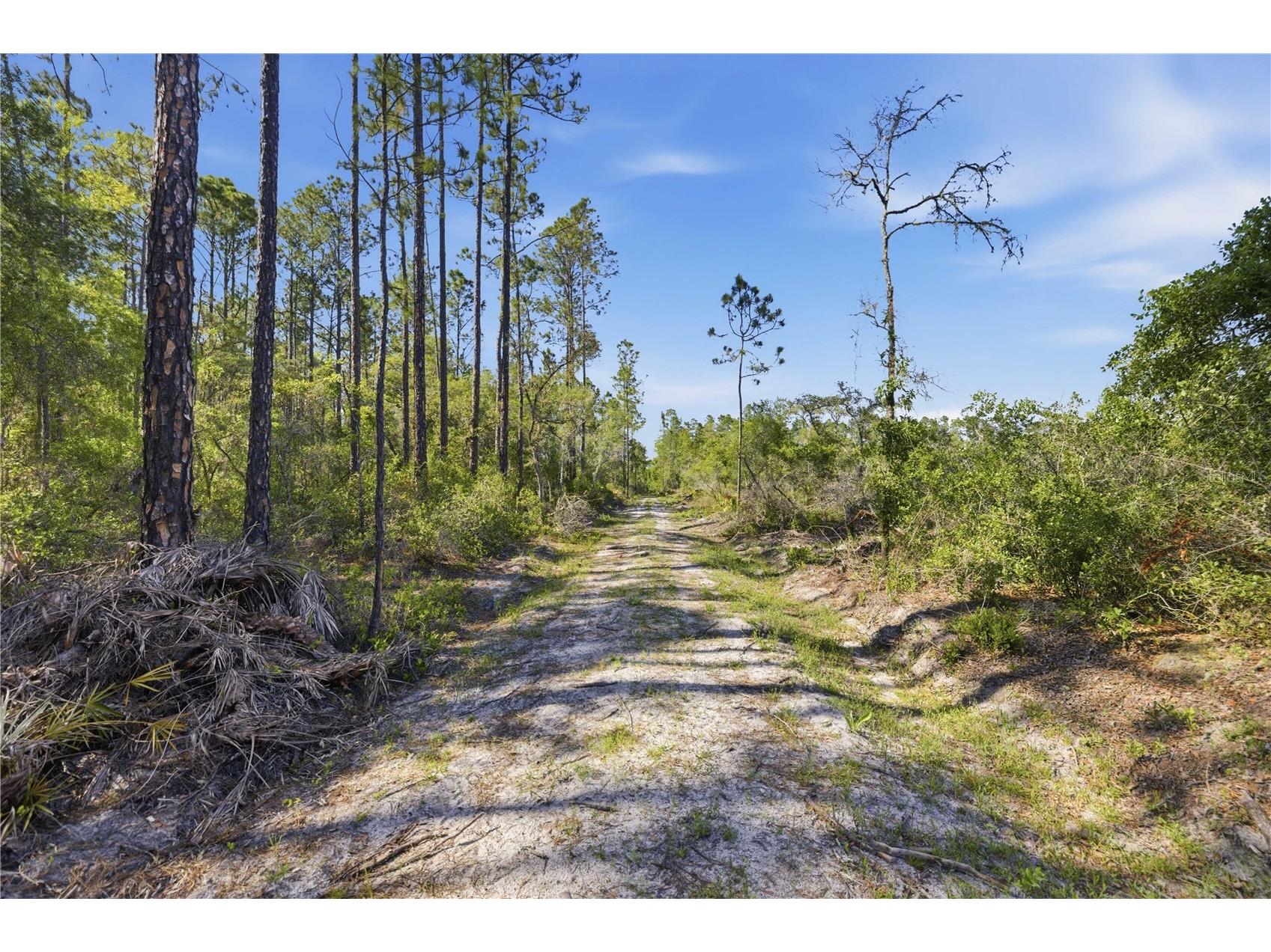 TBD NE 125th Avenue Fort Mc Coy FL 32134 OM723352 image12