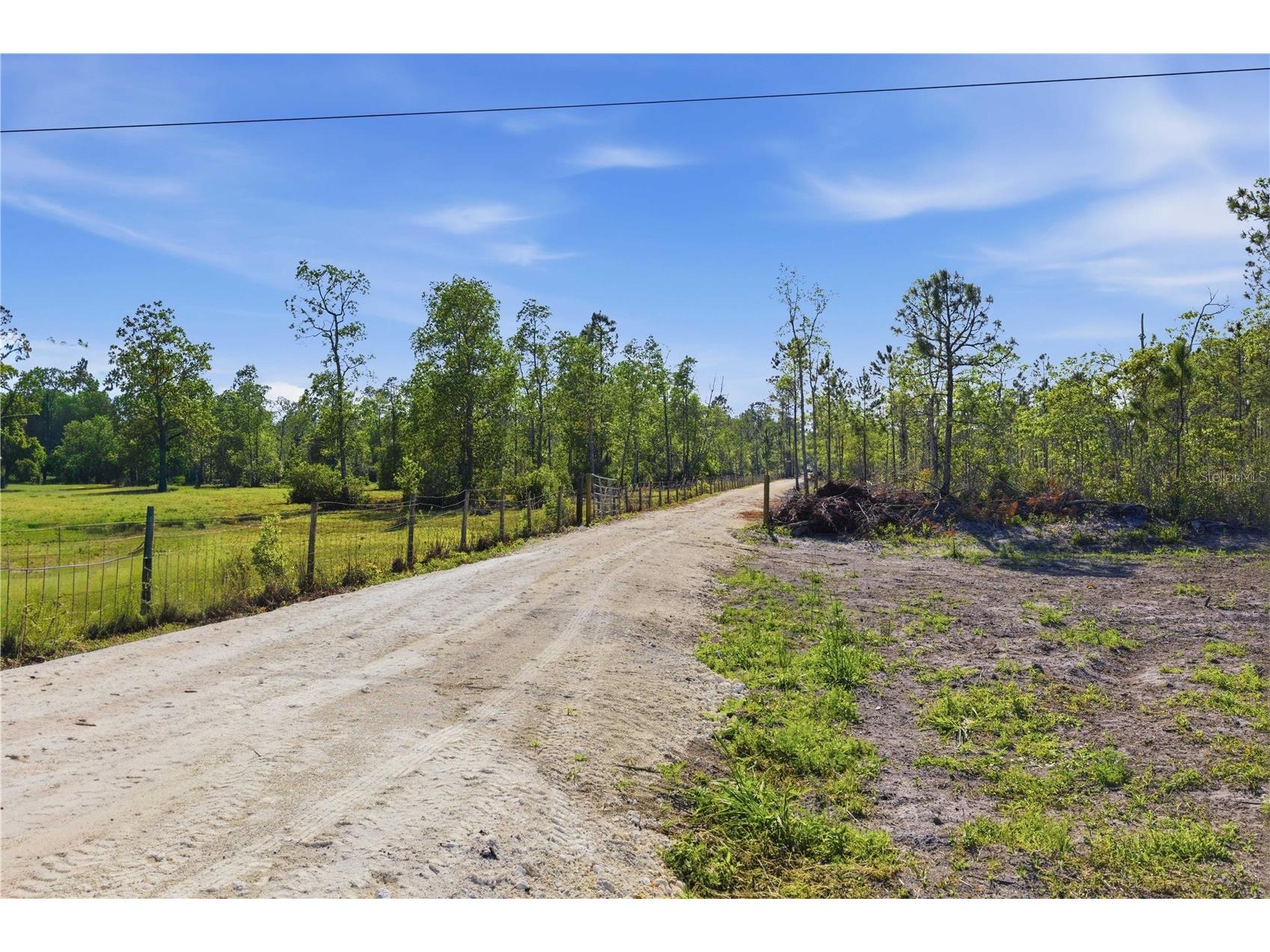 TBD NE 125th Avenue Fort Mc Coy FL 32134 OM723352 image13