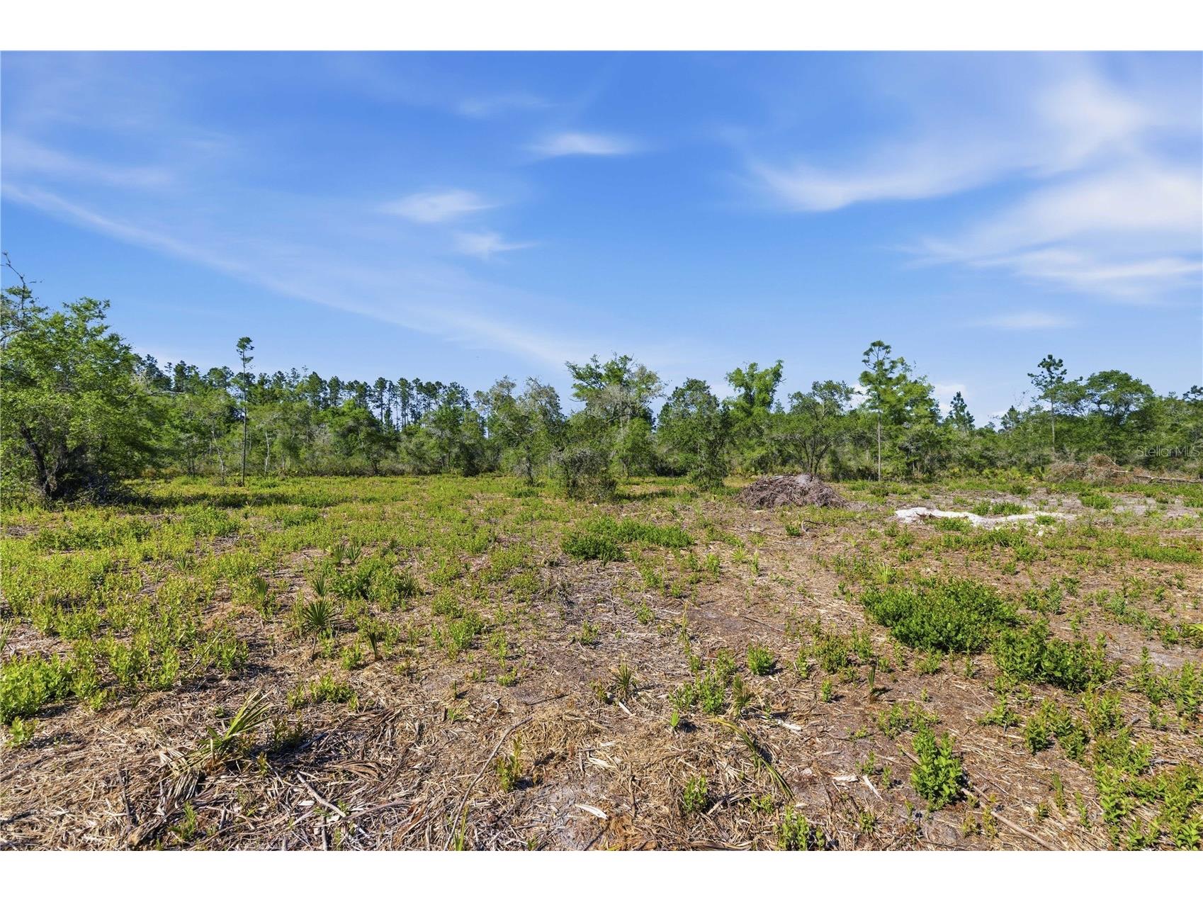 TBD NE 125th Avenue Fort Mc Coy FL 32134 OM723352 image14