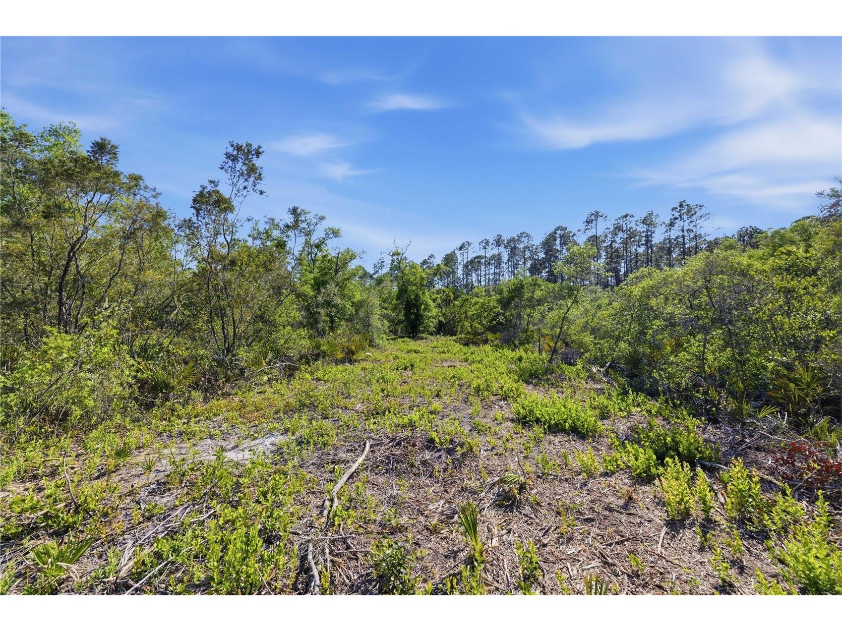 TBD NE 125th Avenue Fort Mc Coy FL 32134 OM723352 image15