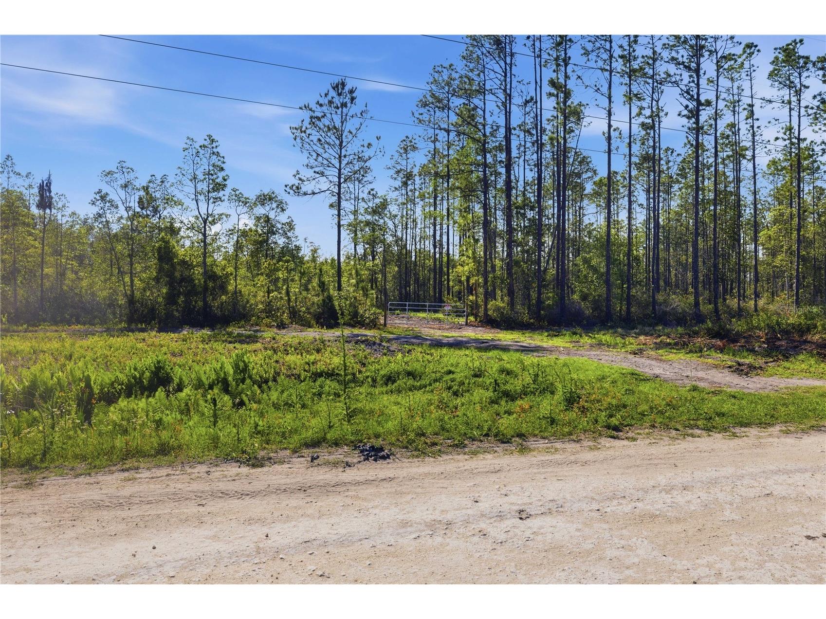 TBD NE 125th Avenue Fort Mc Coy FL 32134 OM723352 image16