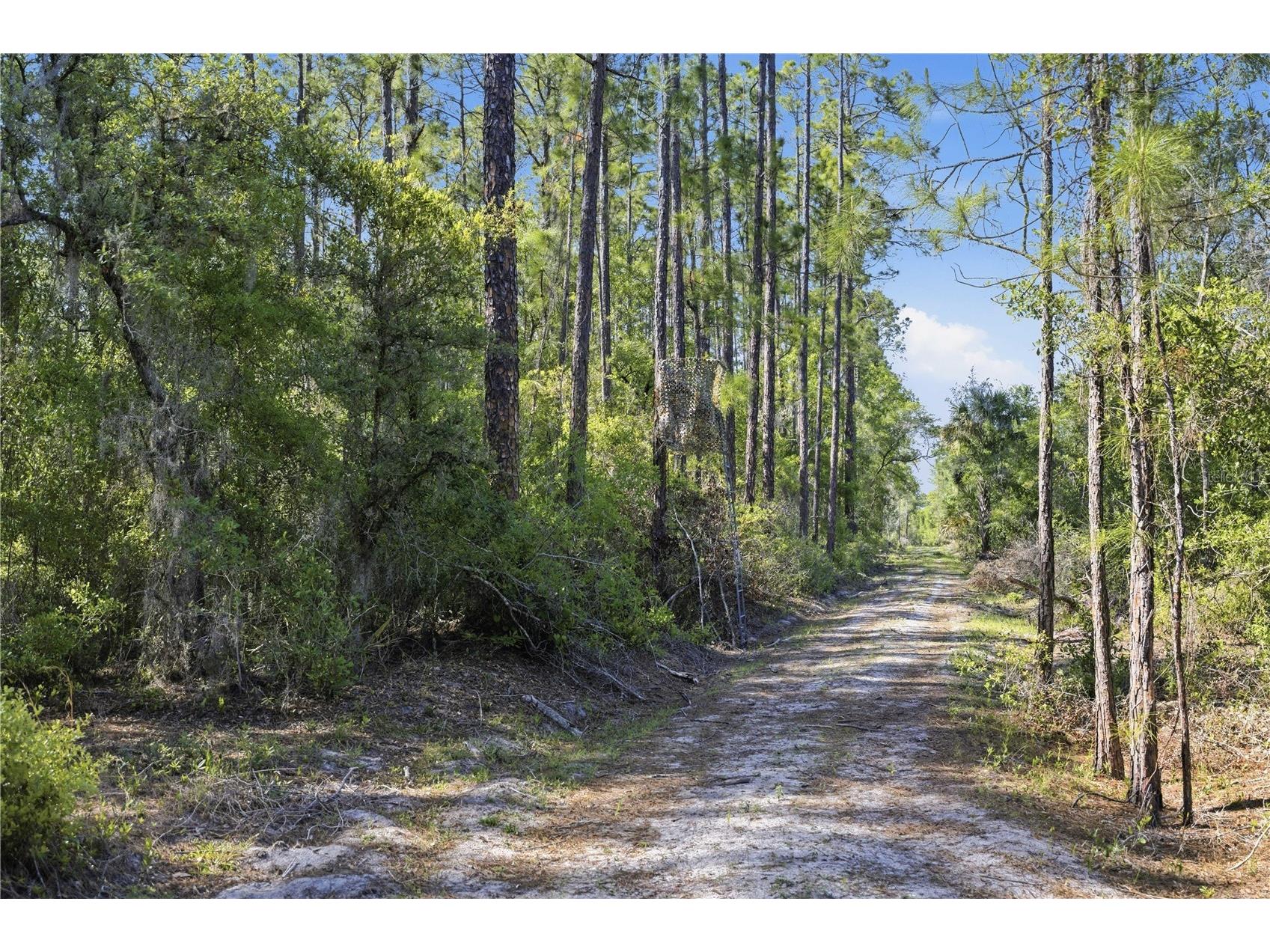 TBD NE 125th Avenue Fort Mc Coy FL 32134 OM723352 image17
