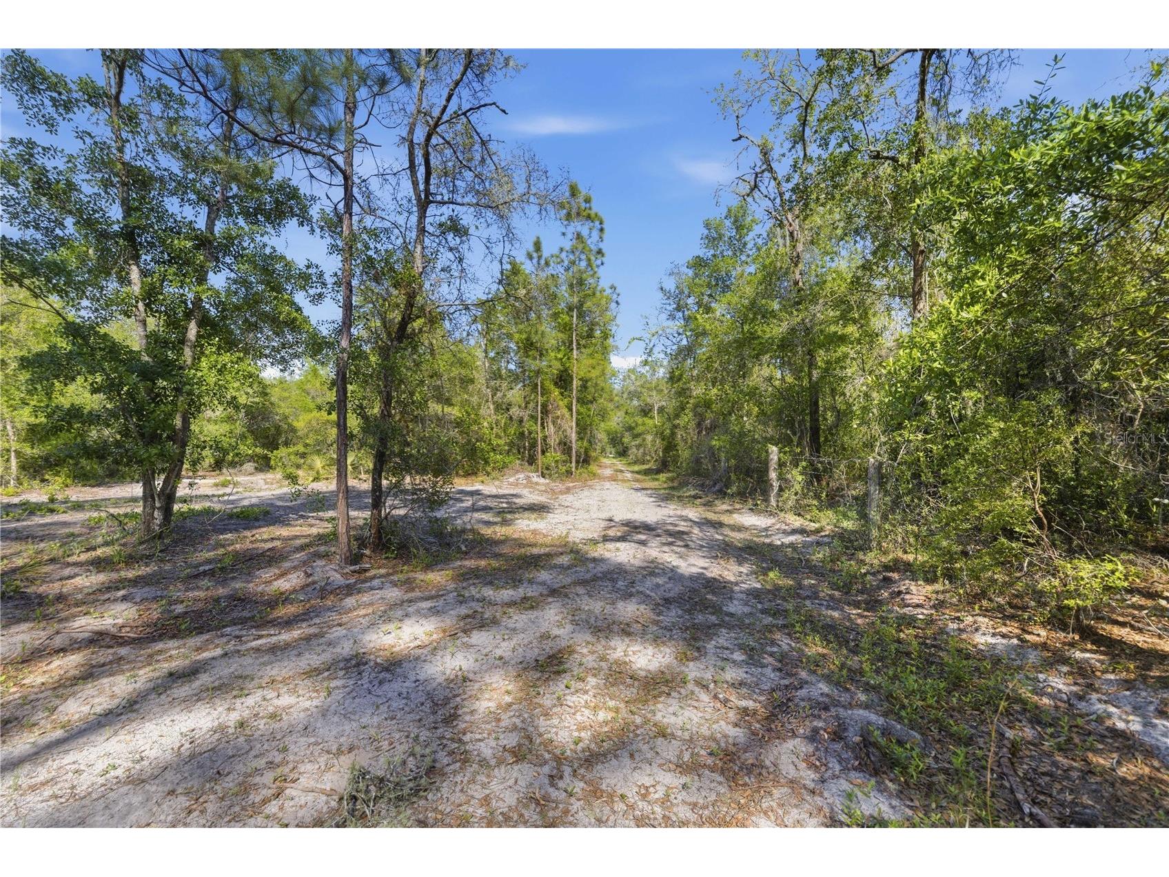 TBD NE 125th Avenue Fort Mc Coy FL 32134 OM723352 image19