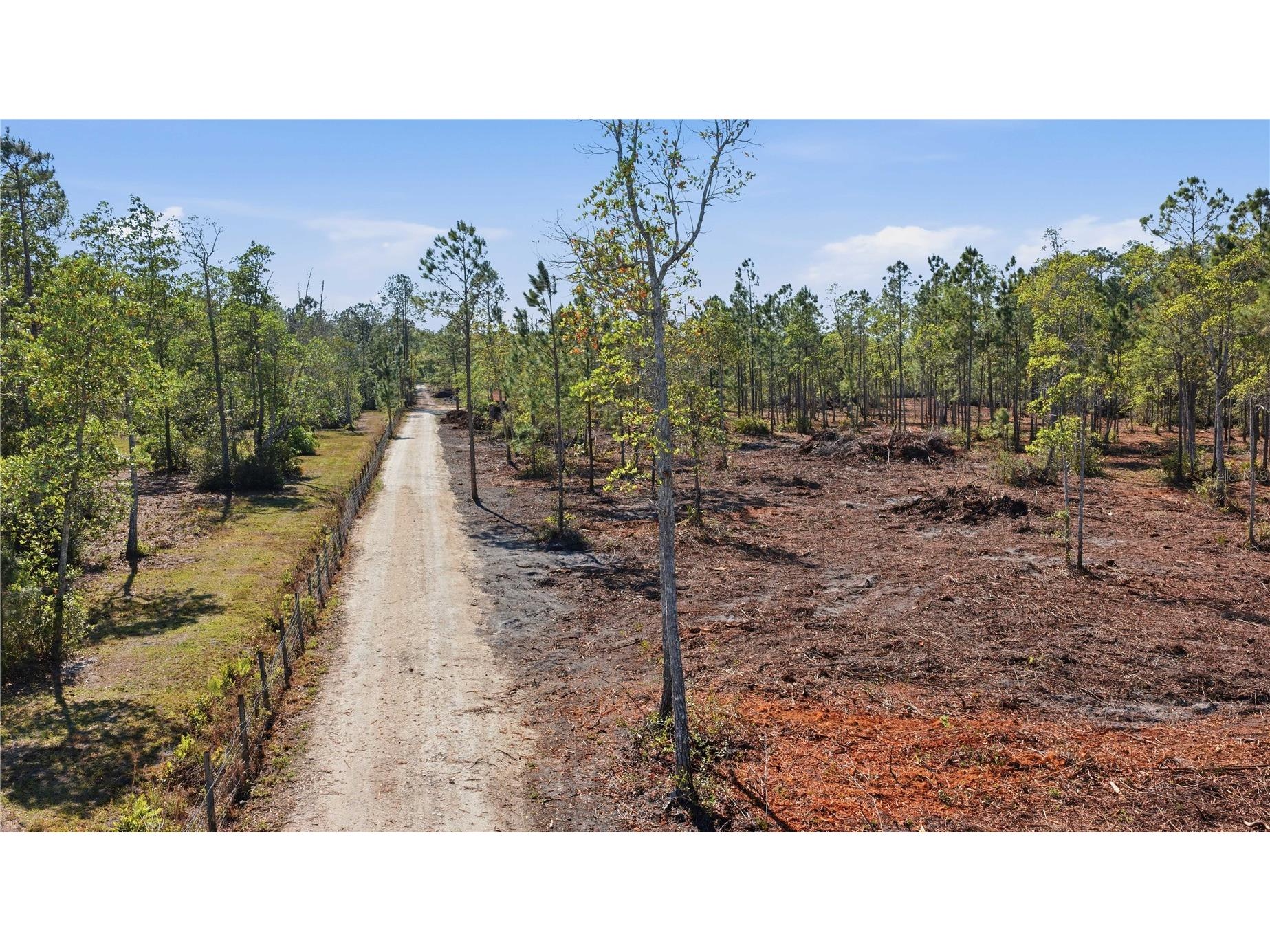 TBD NE 125th Avenue Fort Mc Coy FL 32134 OM723352 image2