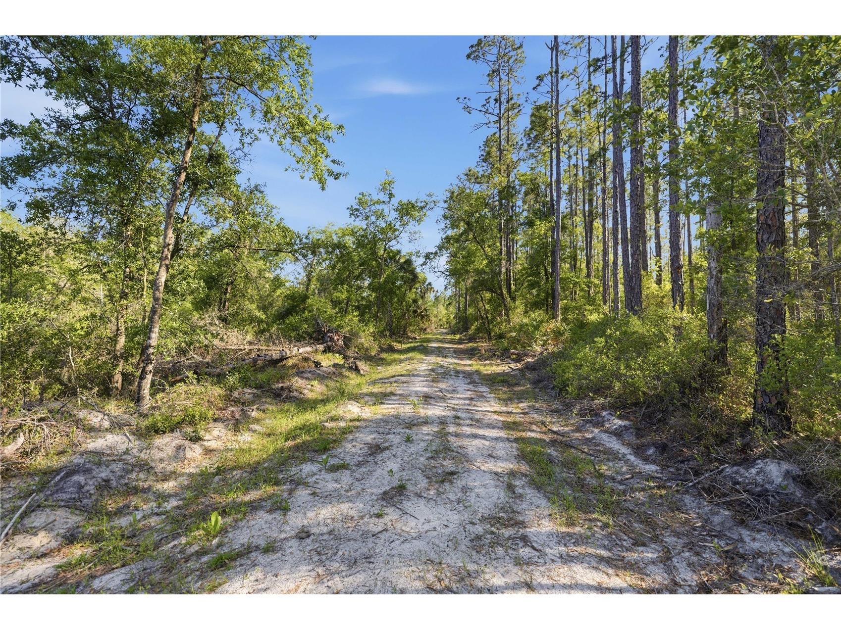 TBD NE 125th Avenue Fort Mc Coy FL 32134 OM723352 image4