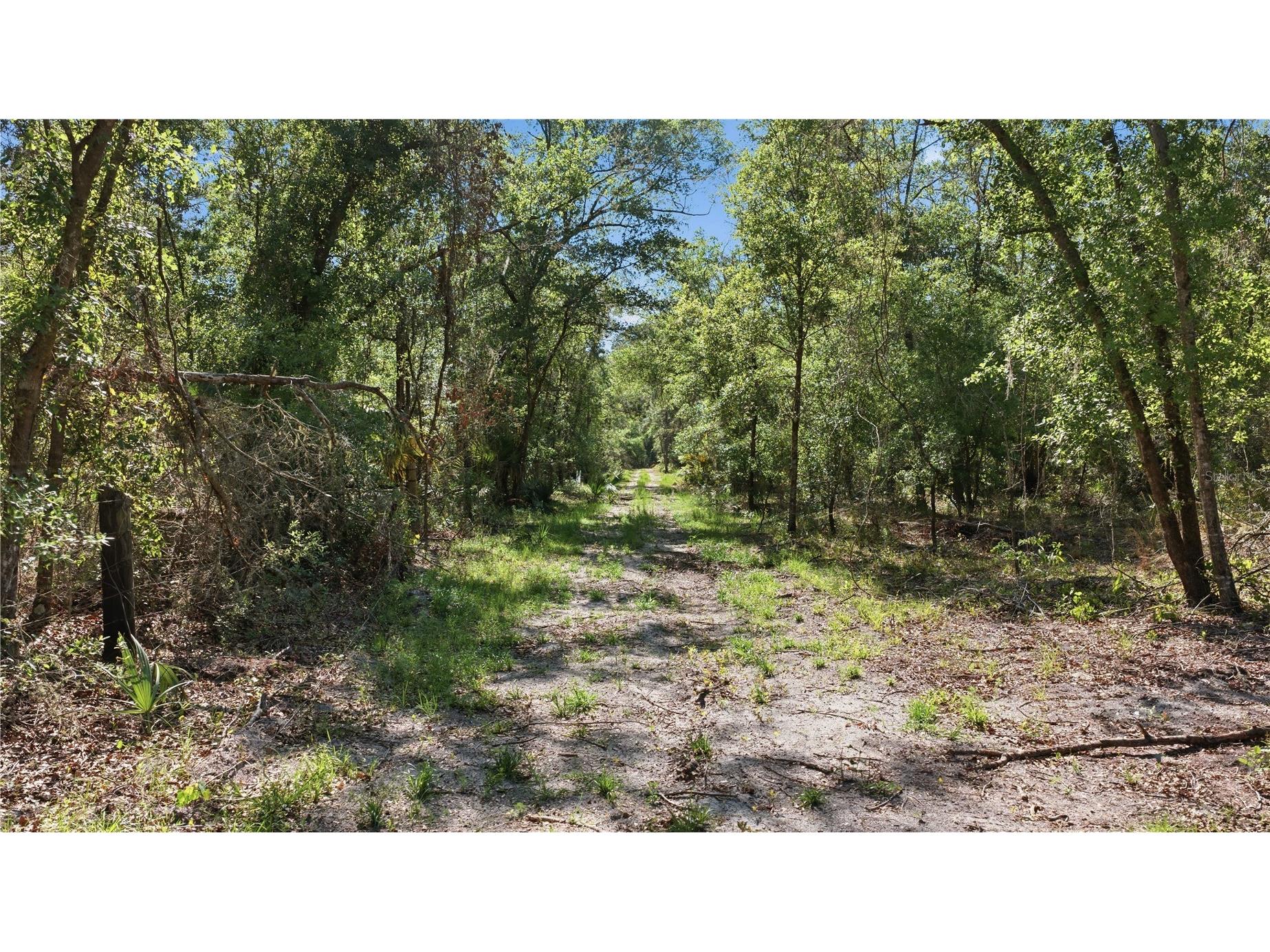 TBD NE 125th Avenue Fort Mc Coy FL 32134 OM723352 image5