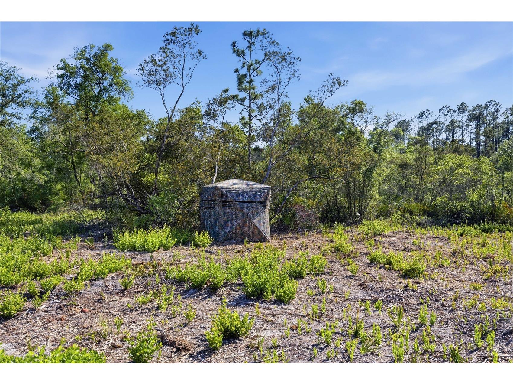 TBD NE 125th Avenue Fort Mc Coy FL 32134 OM723352 image7