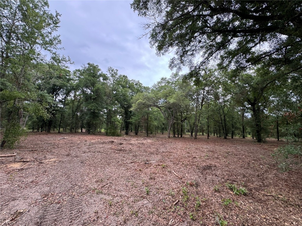 TBD NE 126th Street #A Bronson FL 32621 GC531089 image1