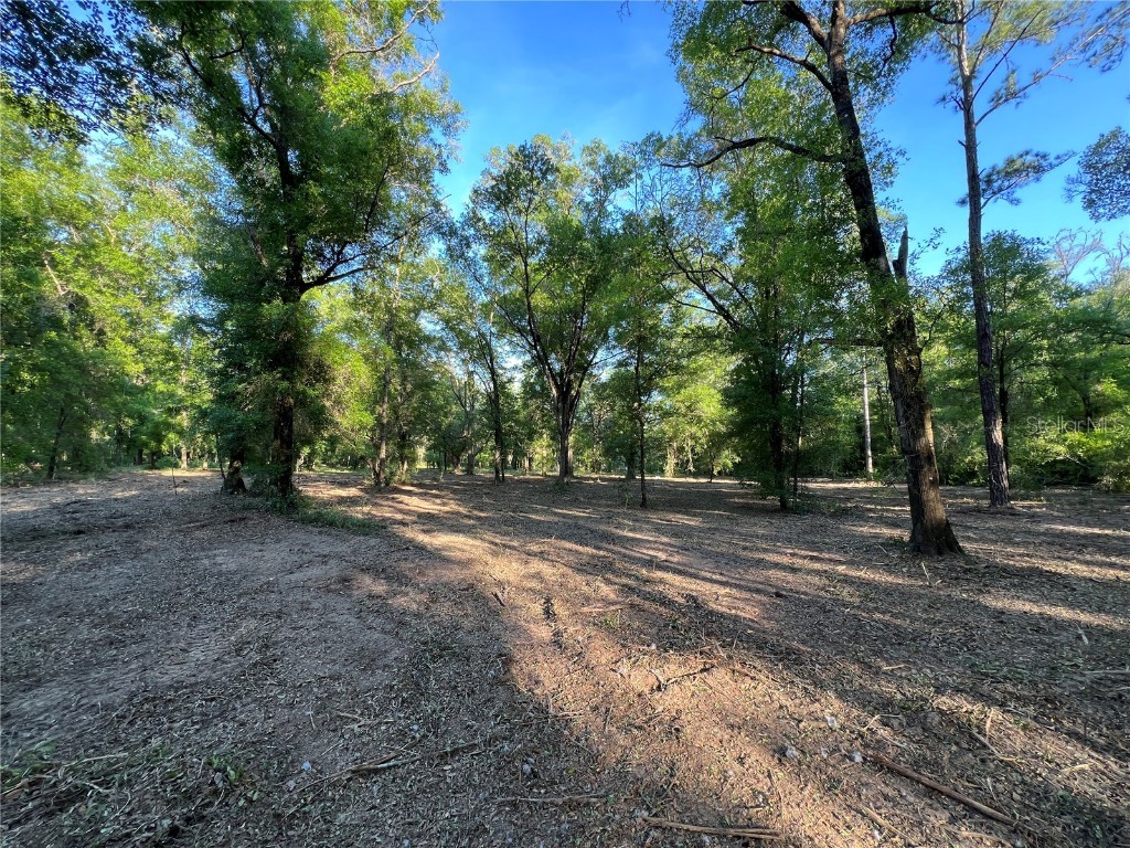 TBD NE 126th Street #B Bronson FL 32621 GC531088 image1