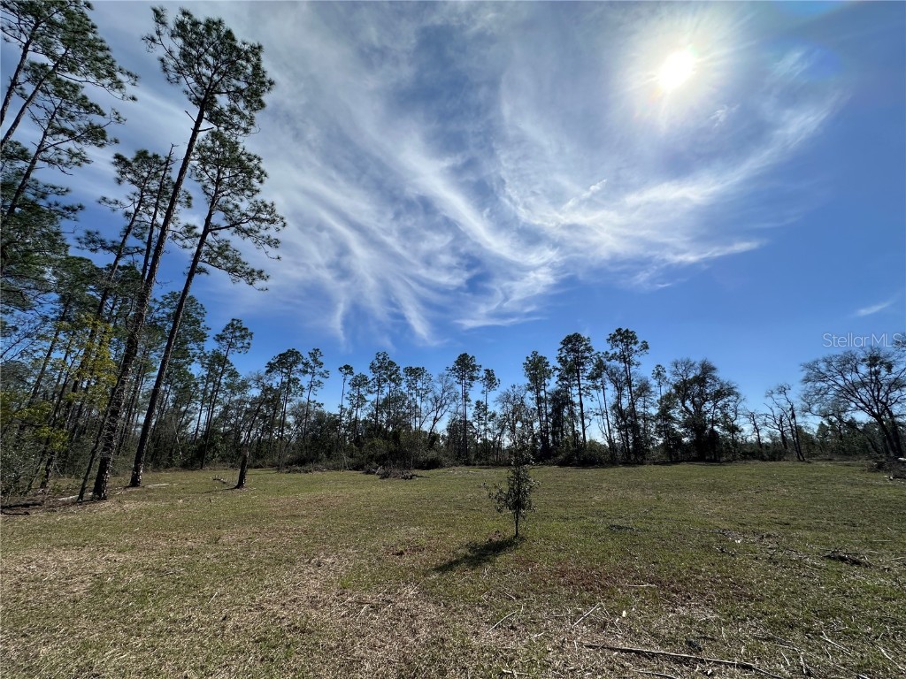 TBD NE 127th Court Williston FL 32696 OM695196 image1