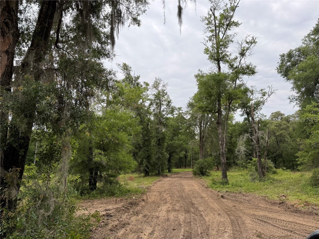 TBD NE 127th Place Bronson FL 32621 GC531086 image1