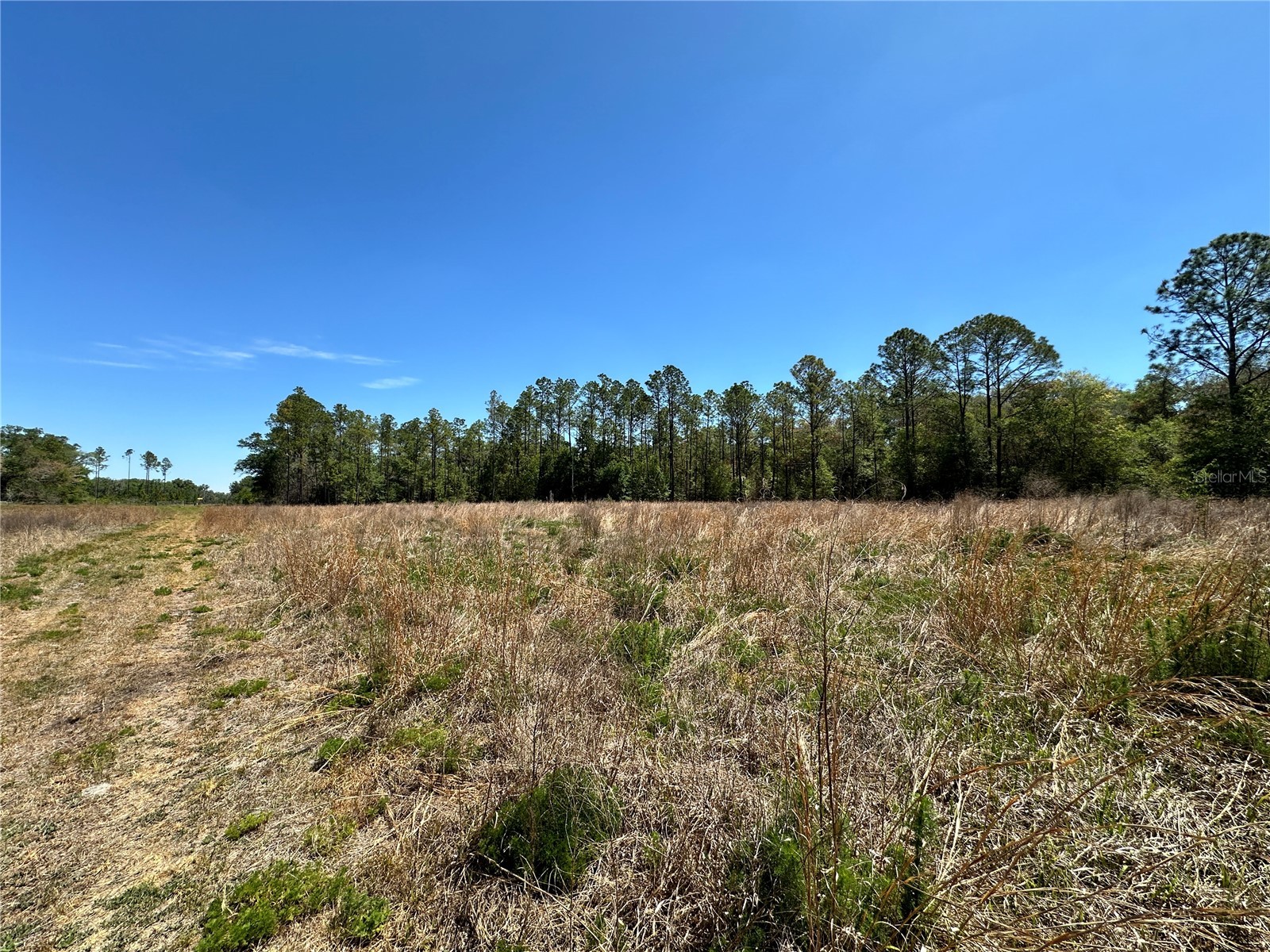 TBD NE 128th Lane Bronson FL 32621 OM723397 image1