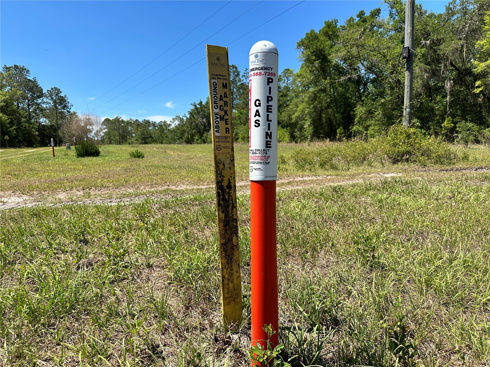 TBD NE 128th Lane Bronson FL 32621 OM723397 image11
