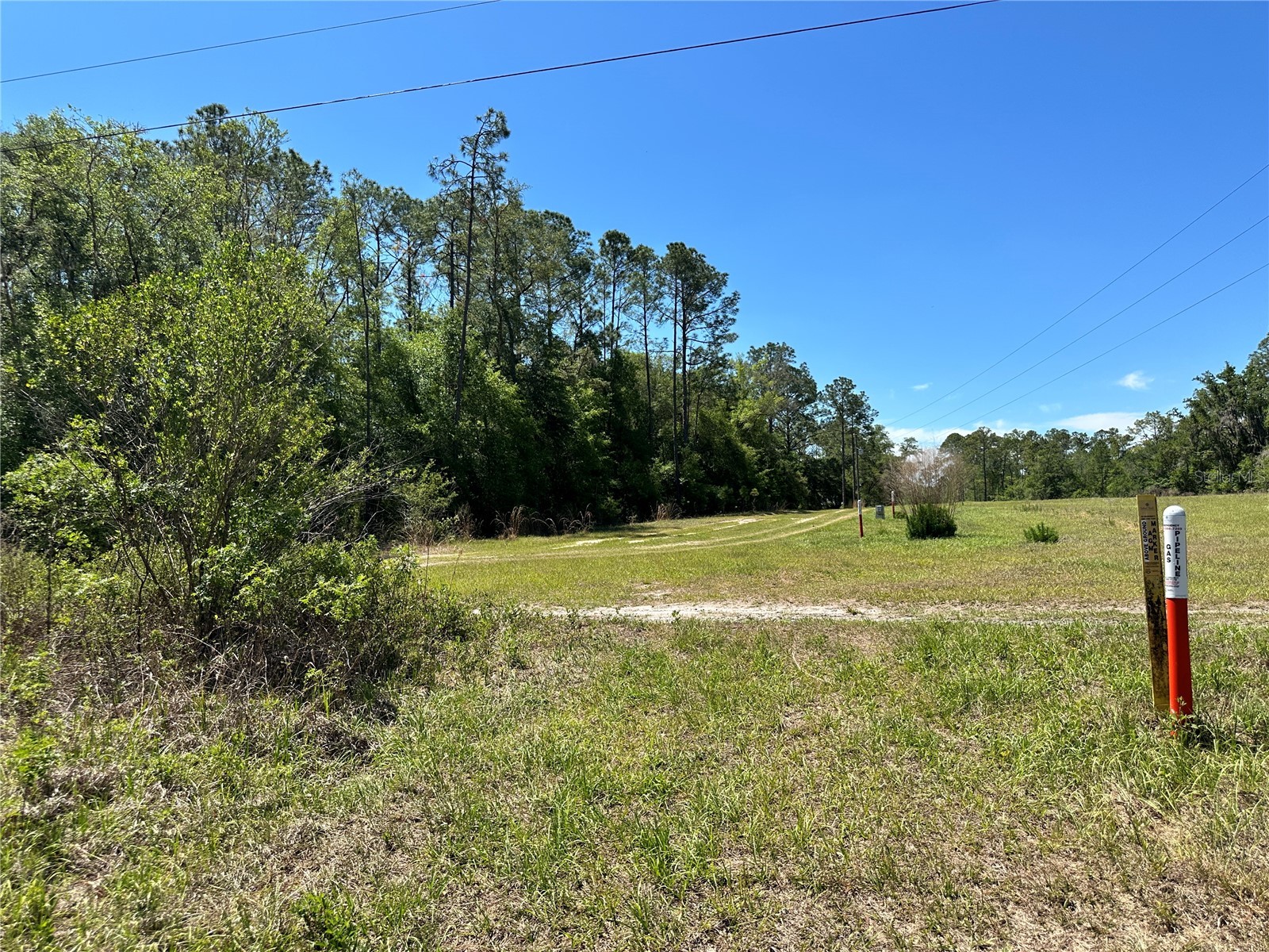 TBD NE 128th Lane Bronson FL 32621 OM723397 image12