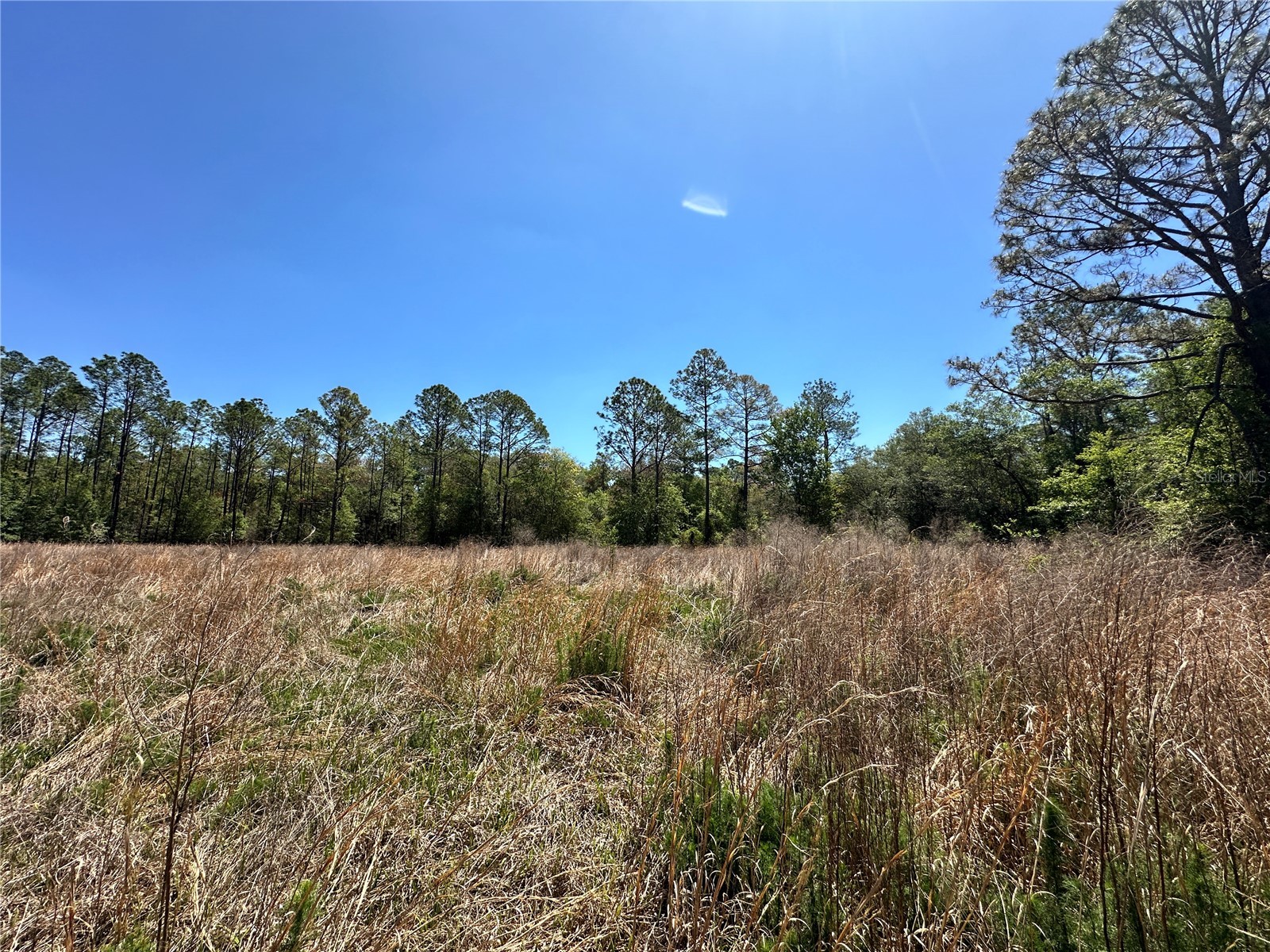 TBD NE 128th Lane Bronson FL 32621 OM723397 image13