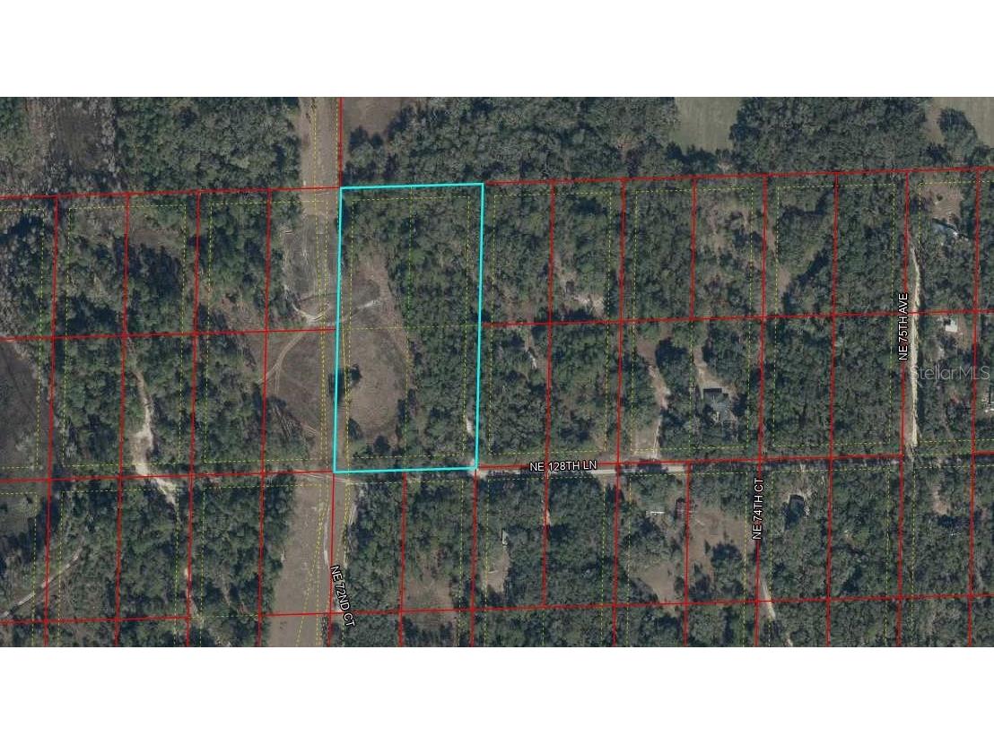 TBD NE 128th Lane Bronson FL 32621 OM723397 image4