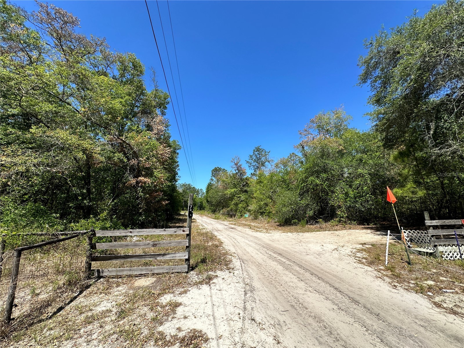 TBD NE 128th Lane Bronson FL 32621 OM723397 image7