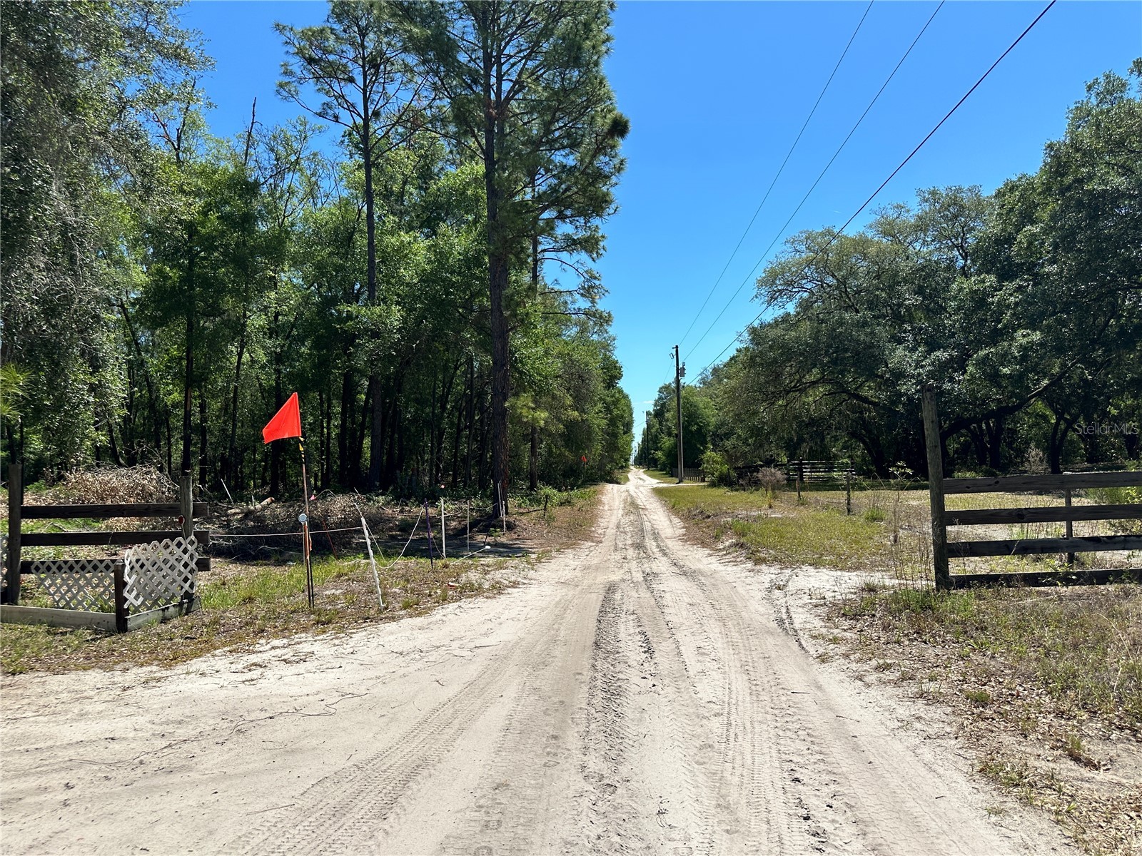 TBD NE 128th Lane Bronson FL 32621 OM723397 image8