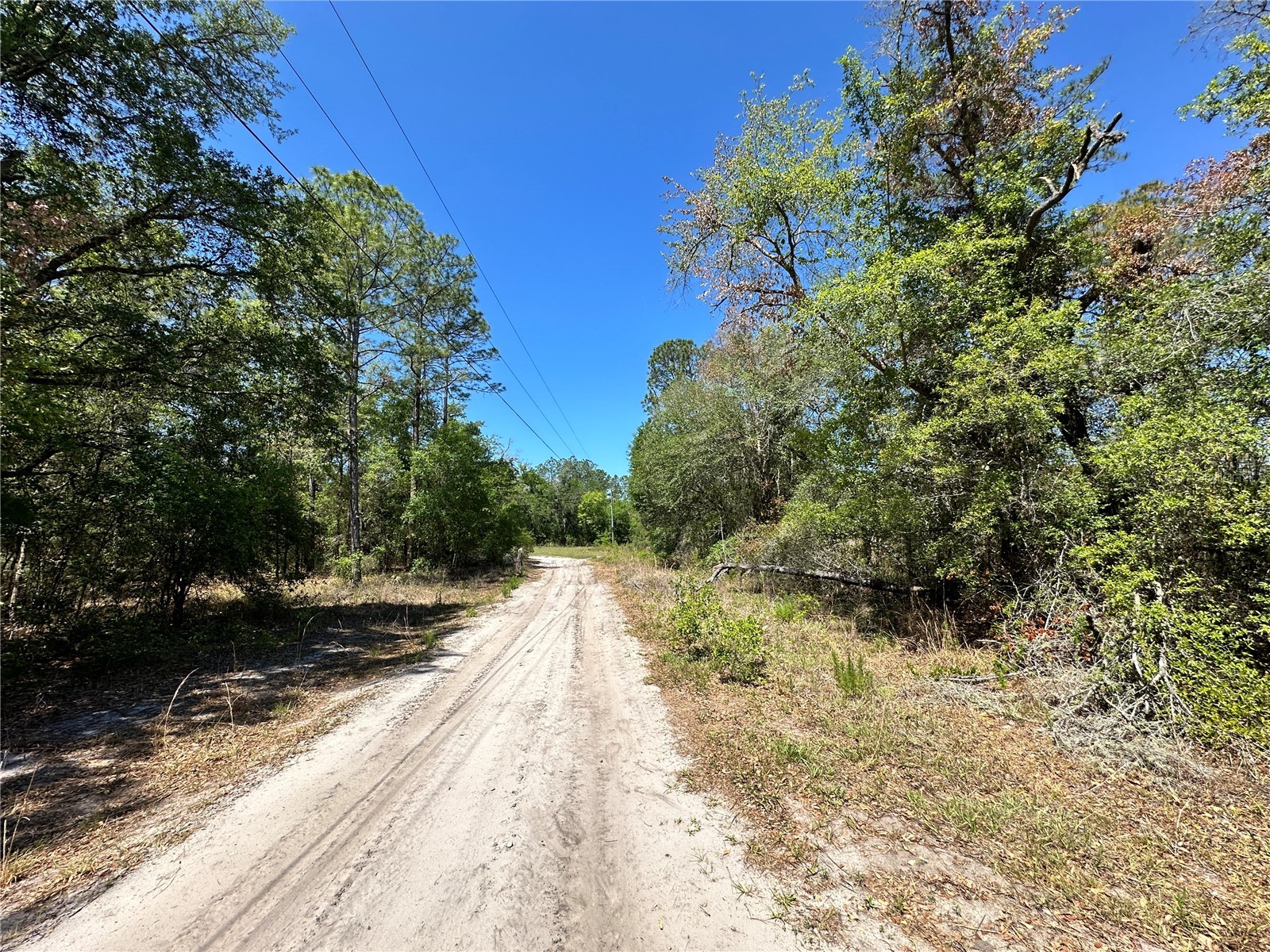 TBD NE 128th Lane Bronson FL 32621 OM723397 image9