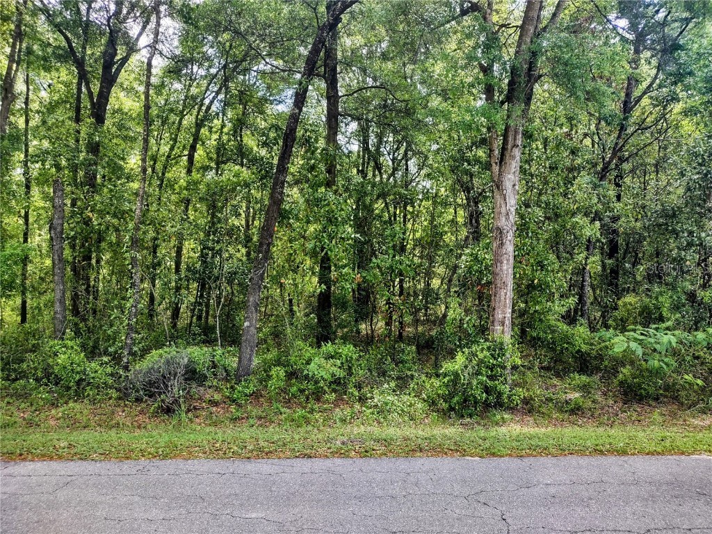 TBD NE 12th Lane Williston FL 32696 OM704971 image2