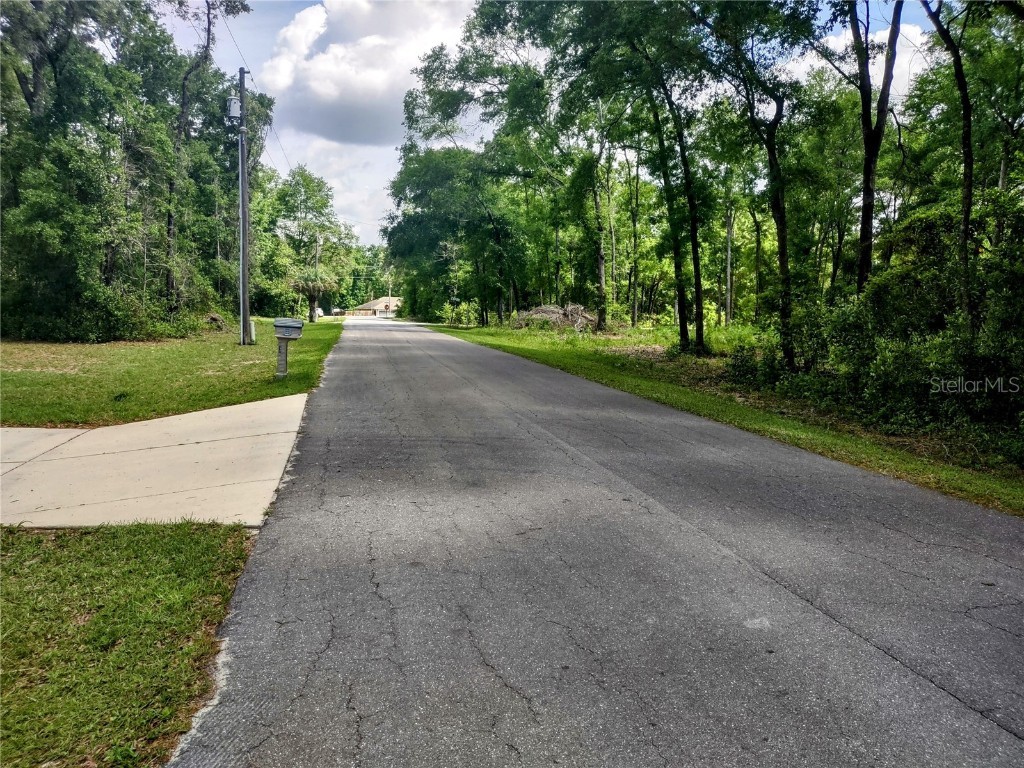 TBD NE 12th Lane Williston FL 32696 OM704971 image3