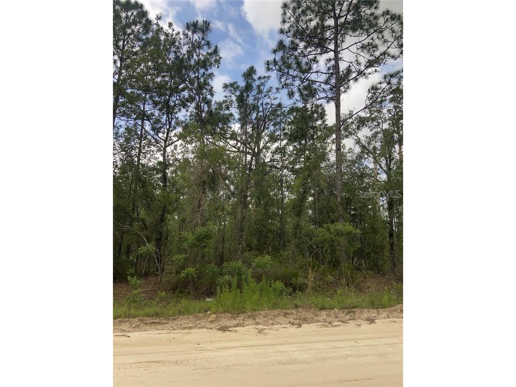 TBD NE 12th Street Williston FL 32696 A4573015 image1