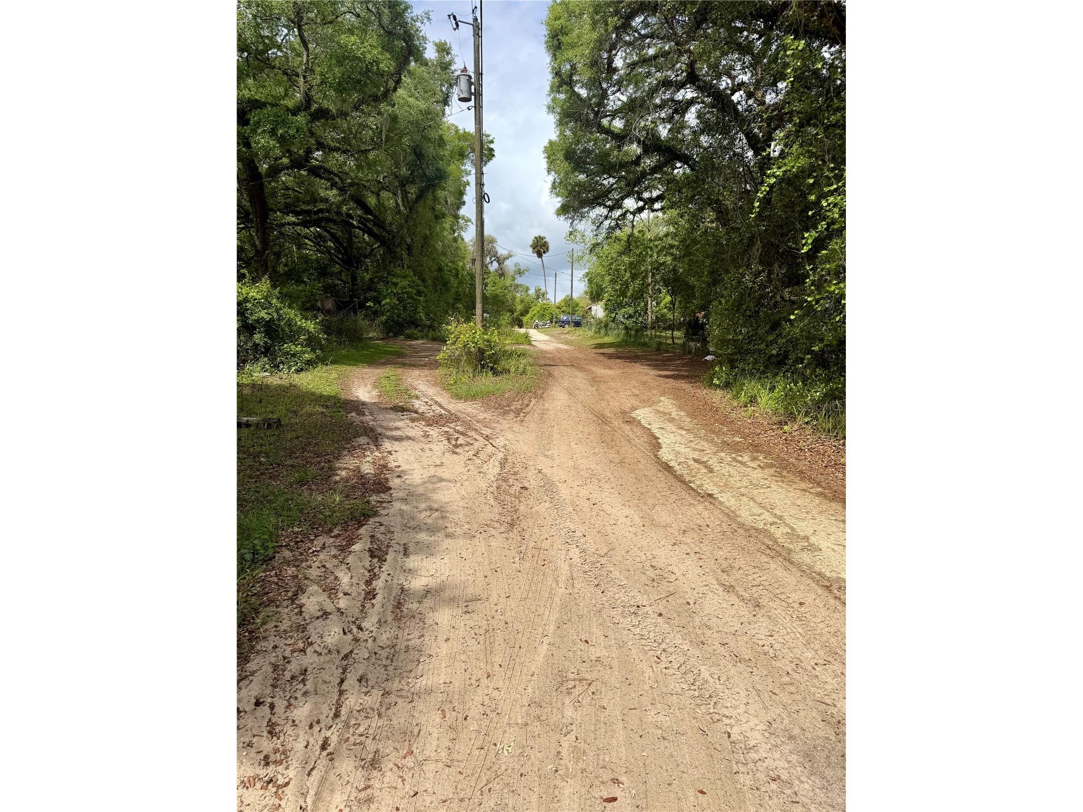 TBD NE 130 Place Salt Springs FL 32134 - LITTLE LAKE KERR OM722348 image3