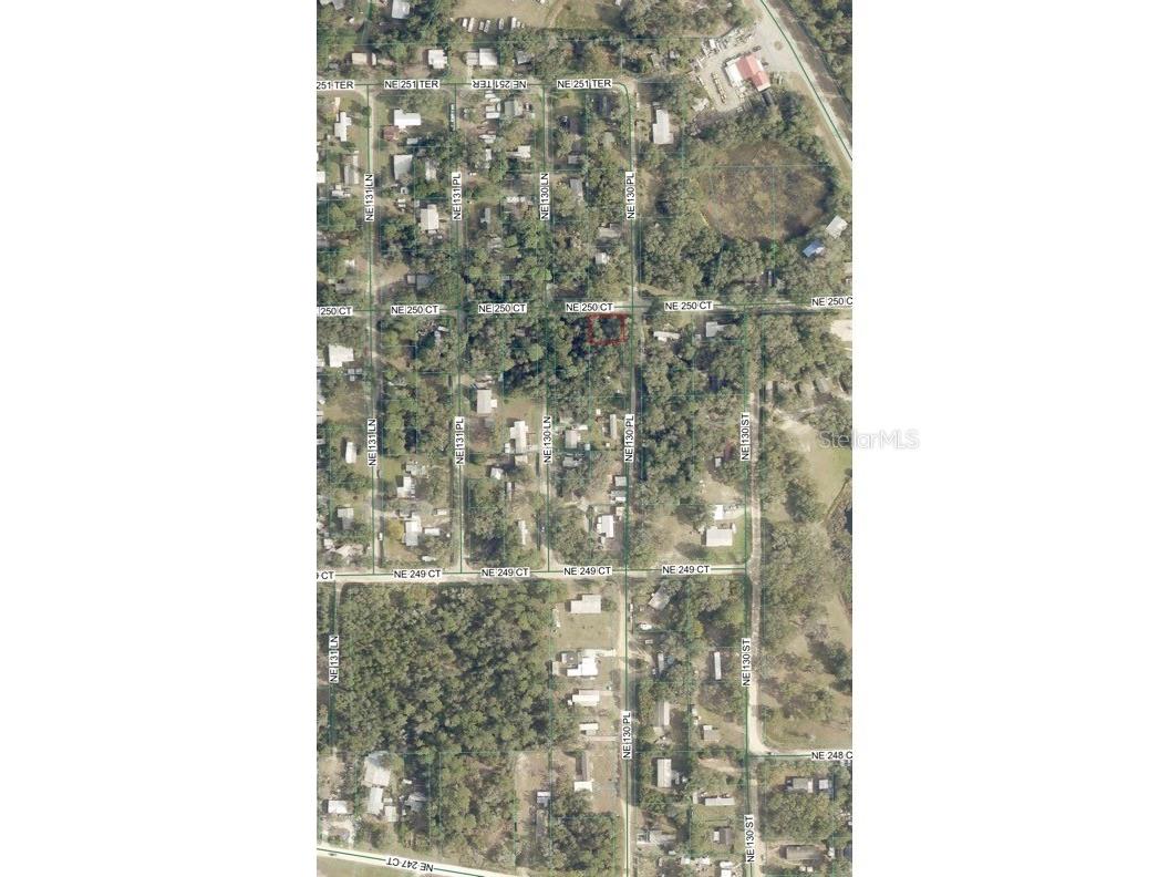 TBD NE 130 Place Salt Springs FL 32134 - LITTLE LAKE KERR OM722348 image4