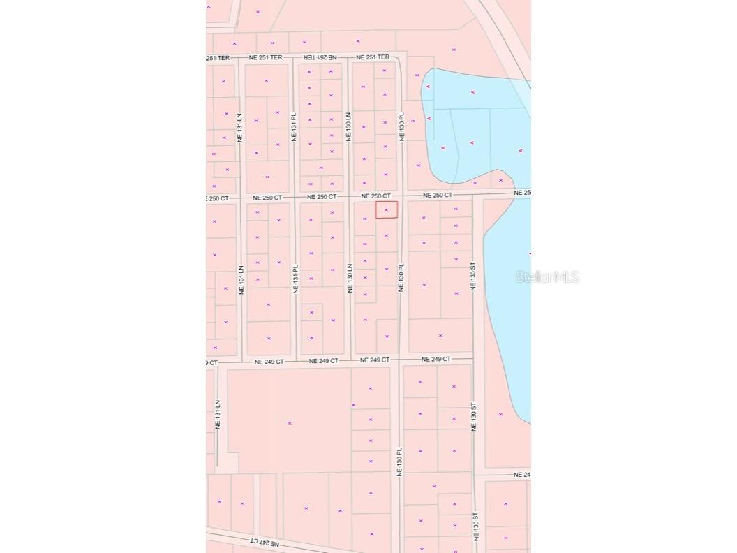 TBD NE 130 Place Salt Springs FL 32134 - LITTLE LAKE KERR OM722348 image5