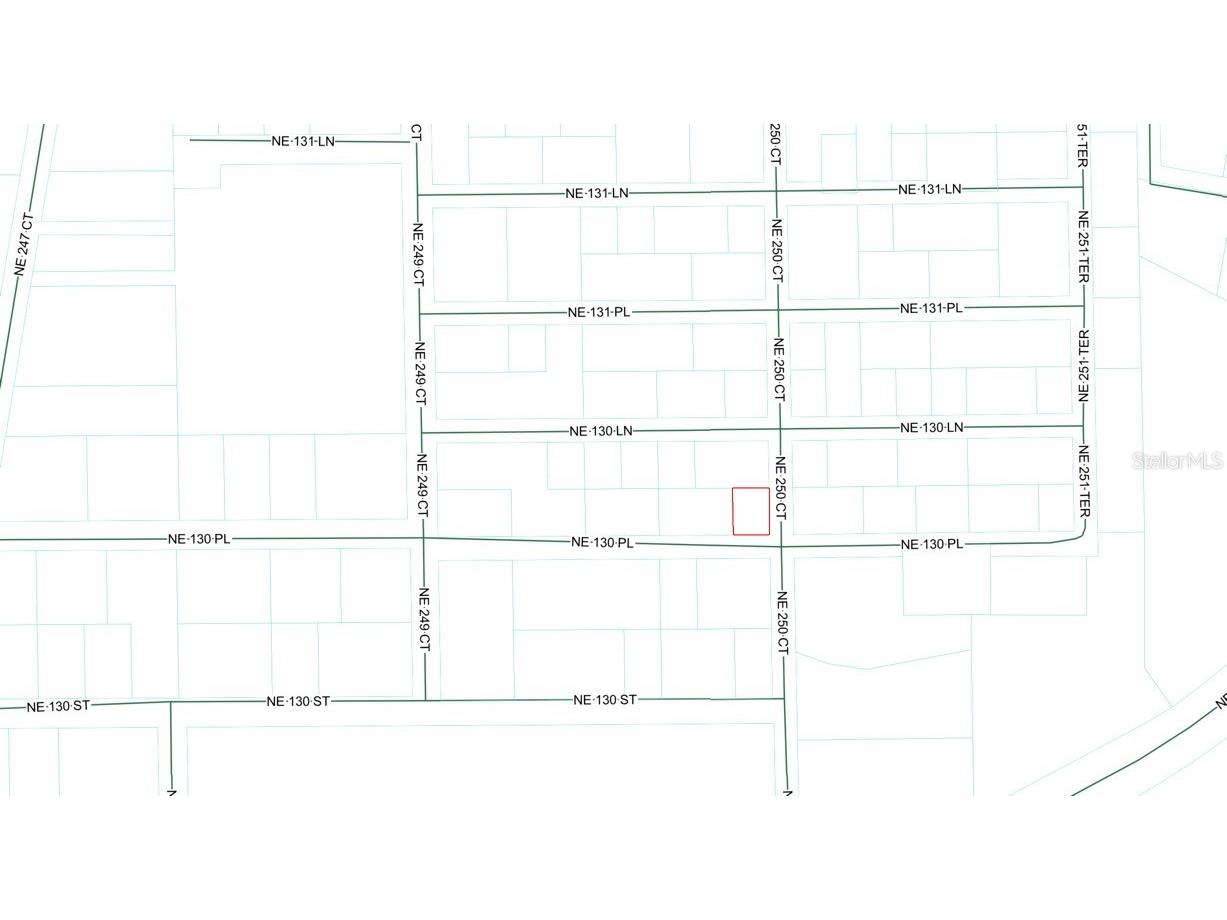 TBD NE 130 Place Salt Springs FL 32134 - LITTLE LAKE KERR OM722348 image6