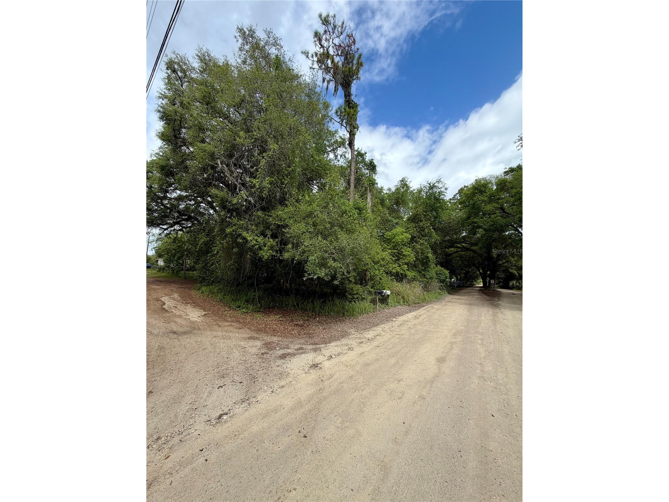 TBD NE 130 Place Salt Springs FL 32134 - LITTLE LAKE KERR OM722348 image7