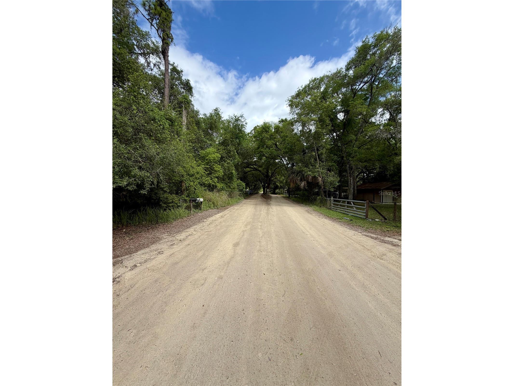 TBD NE 130 Place Salt Springs FL 32134 - LITTLE LAKE KERR OM722348 image8