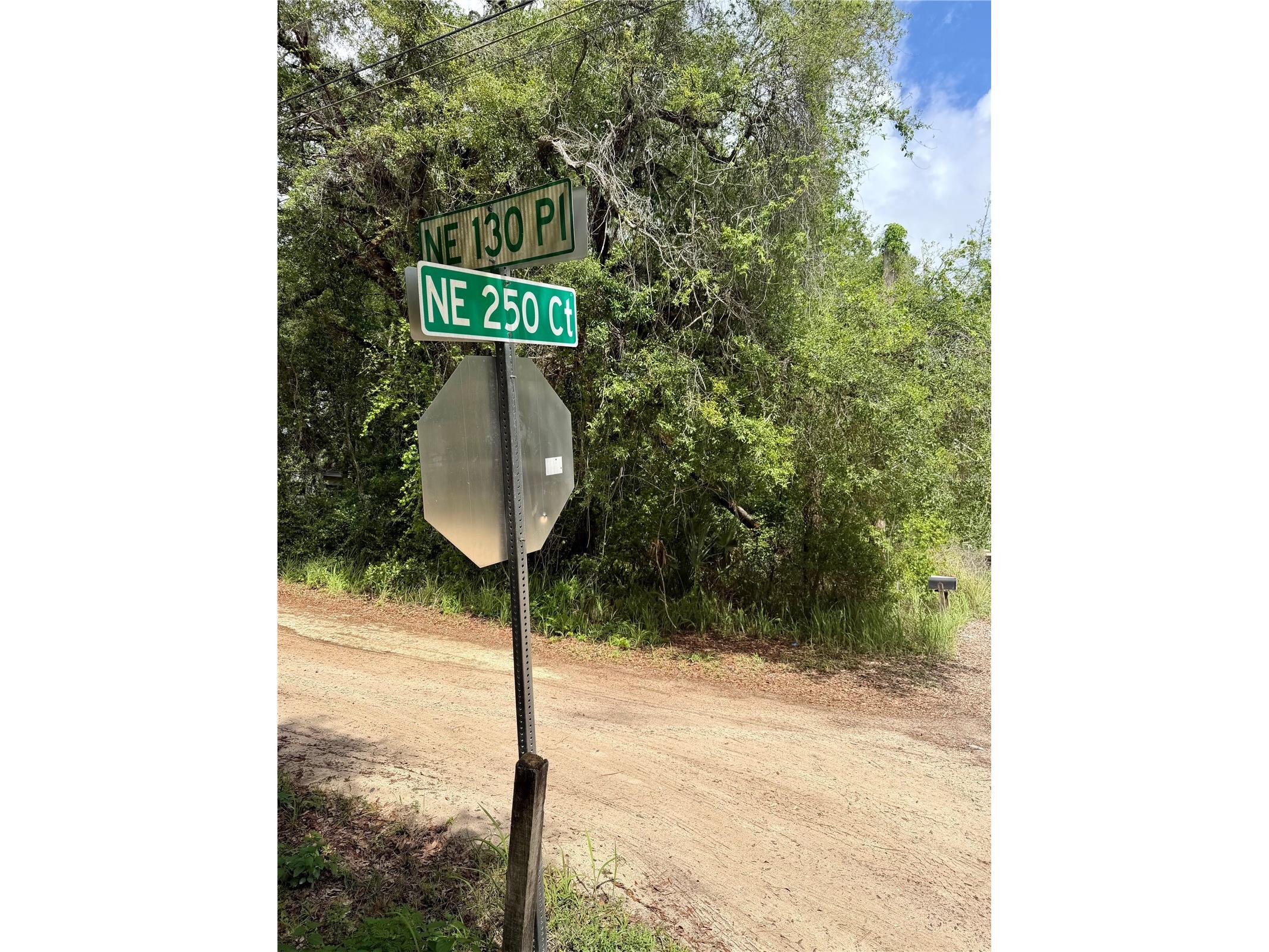 TBD NE 130 Place Salt Springs FL 32134 - LITTLE LAKE KERR OM722348 image9