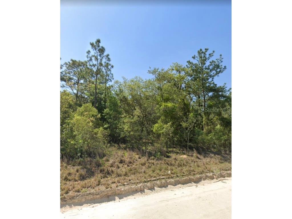 TBD NE 130th Avenue Williston FL 32696 OM672778 image1