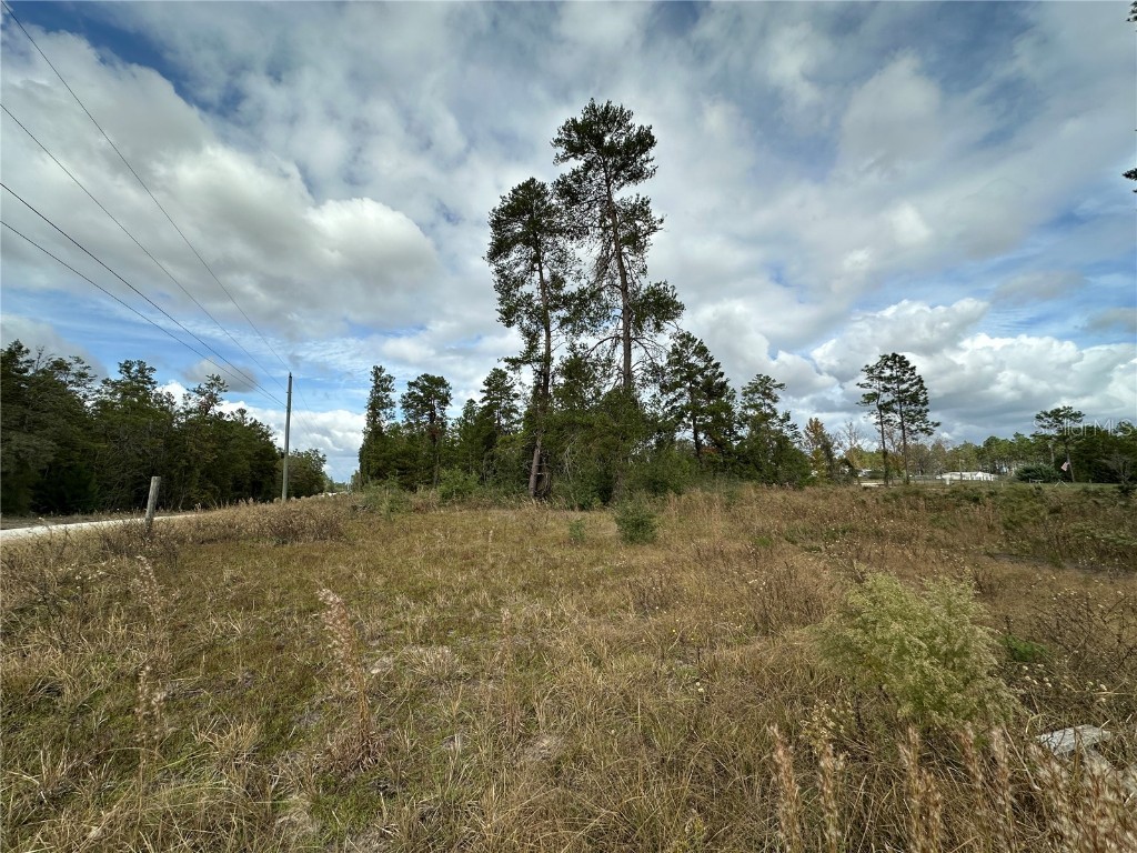 TBD NE 130th Avenue Williston FL 32696 OM688462 image1