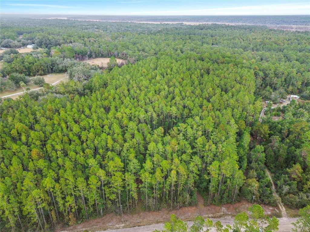 TBD NE 130th Court Rd Fort Mc Coy FL 32134 OM706449 image10