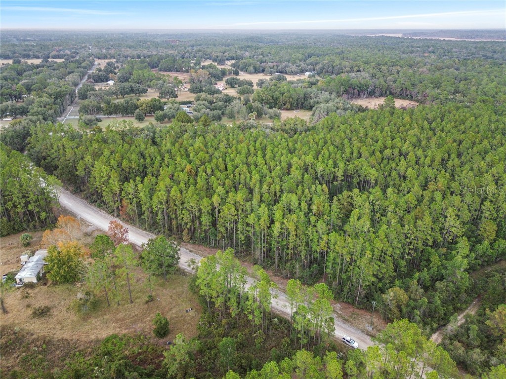 TBD NE 130th Court Rd Fort Mc Coy FL 32134 OM706449 image11